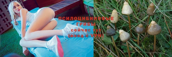 МДПВ Балахна