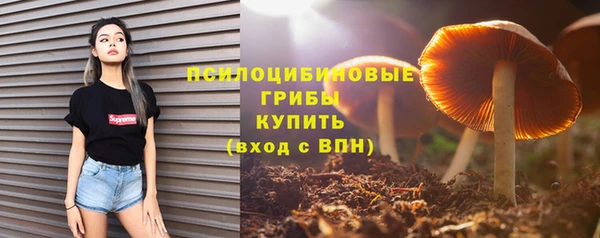 МДПВ Балахна
